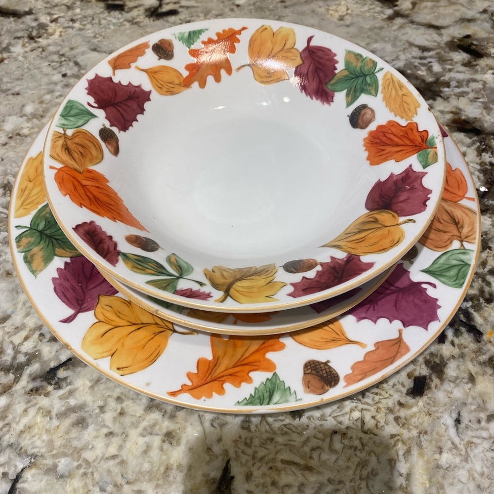 Domestications dishes